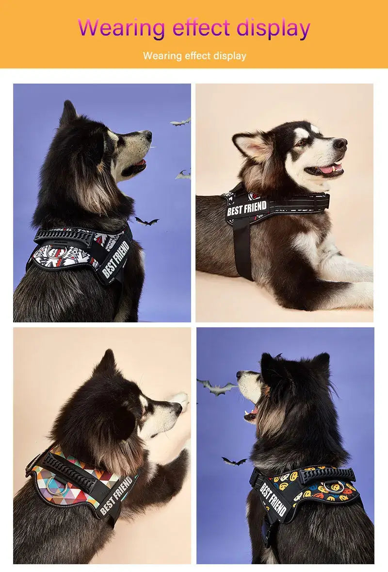 Customizable Dog Harness