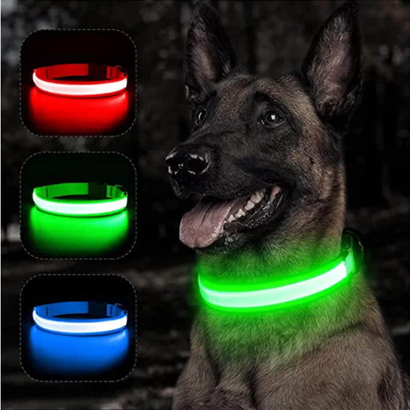 eco-friendly LED Glowing Dog Collar