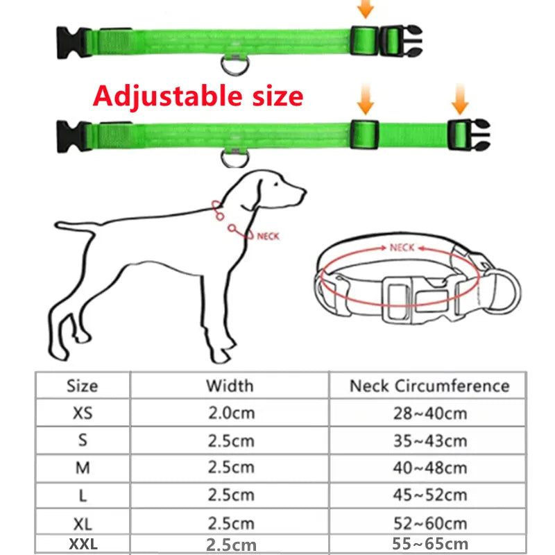 eco-friendly LED Glowing Dog Collar