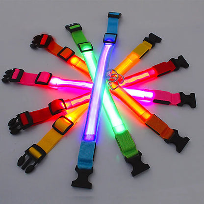 eco-friendly LED Glowing Dog Collar