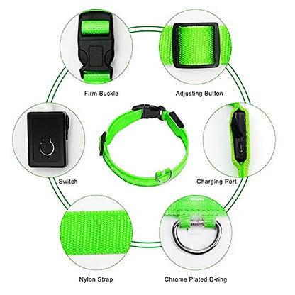 eco-friendly LED Glowing Dog Collar