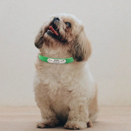 Customizable Pet Collar