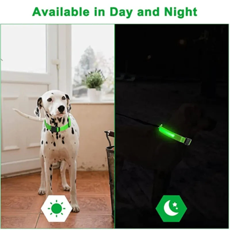 eco-friendly LED Glowing Dog Collar