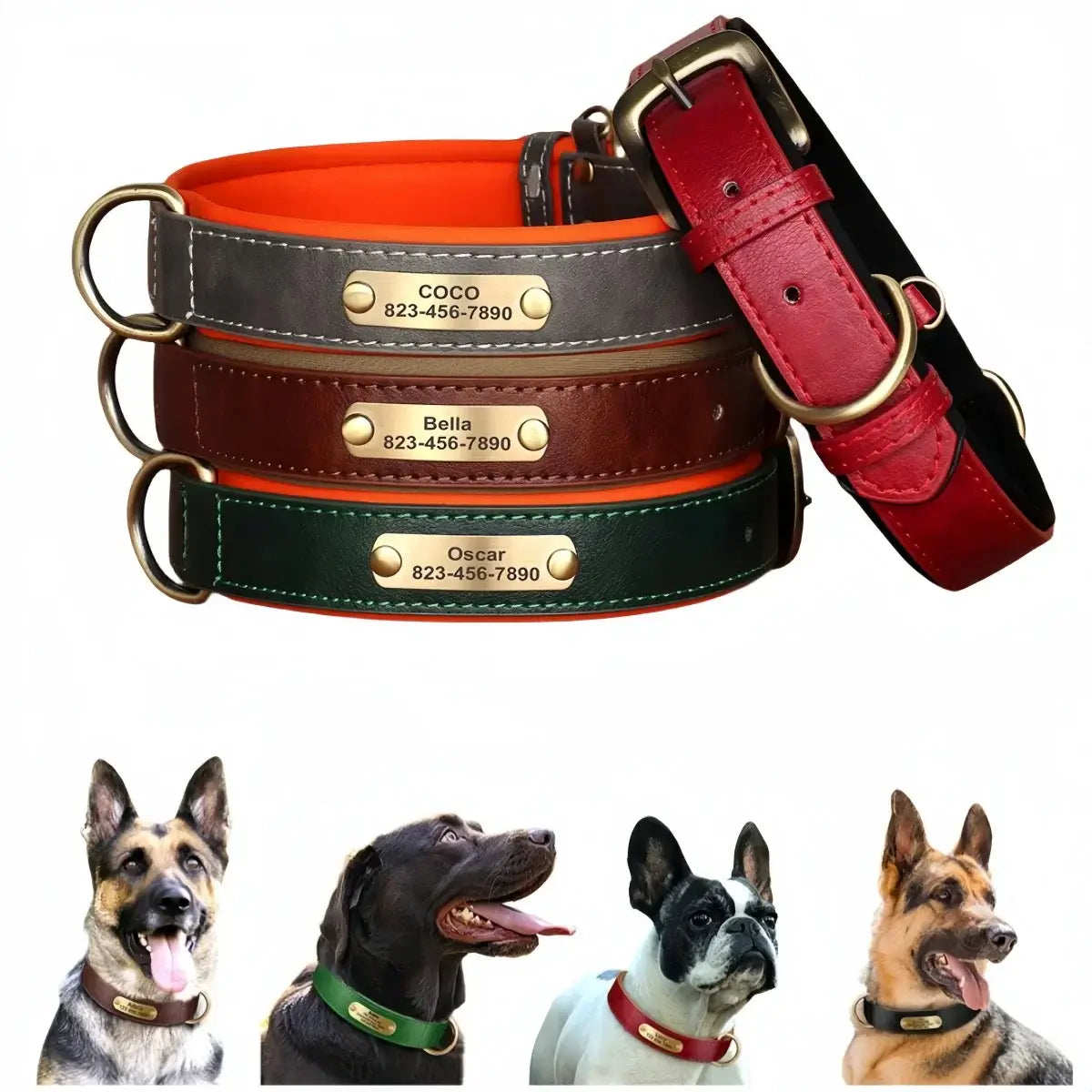 Customizable Padded Pet Collar