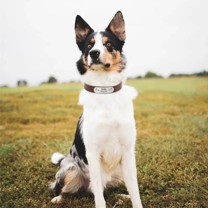 Customizable Pet Collar