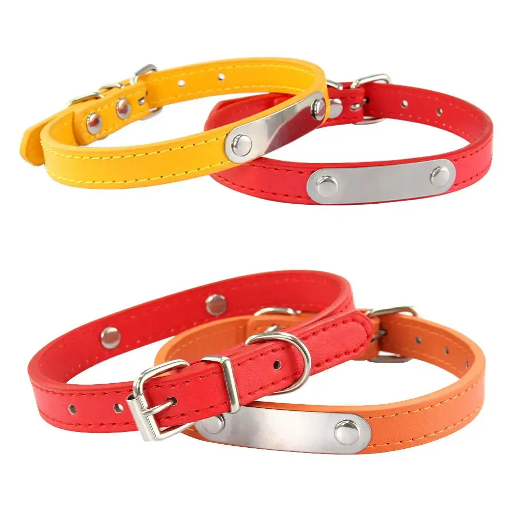 Customizable Pet Collar