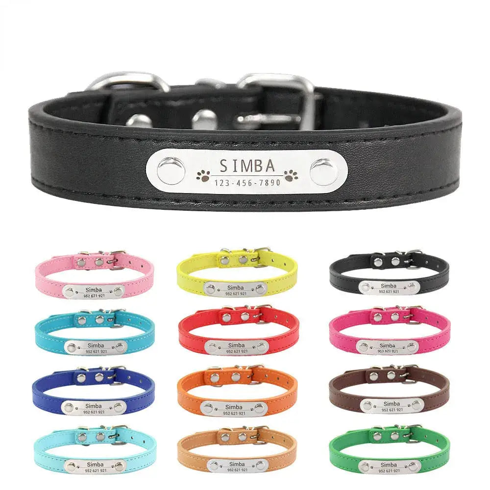 Customizable Pet Collar