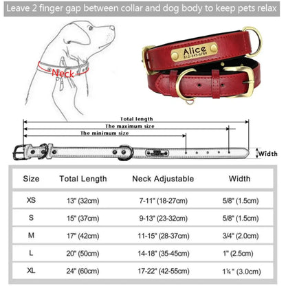 Customizable Padded Pet Collar