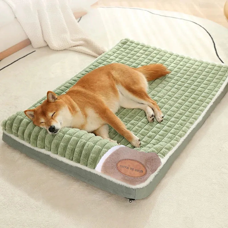 eco-friendly Pet Cushion