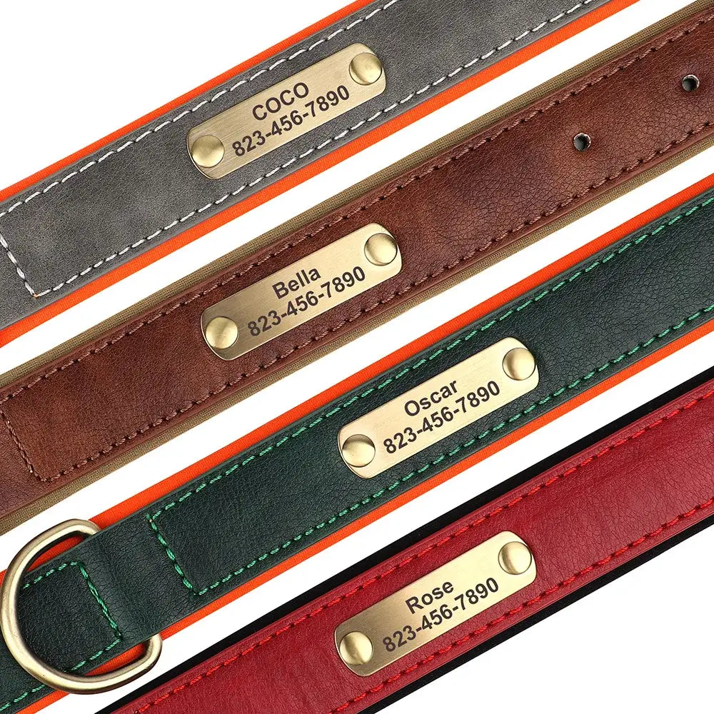 Customizable Padded Pet Collar