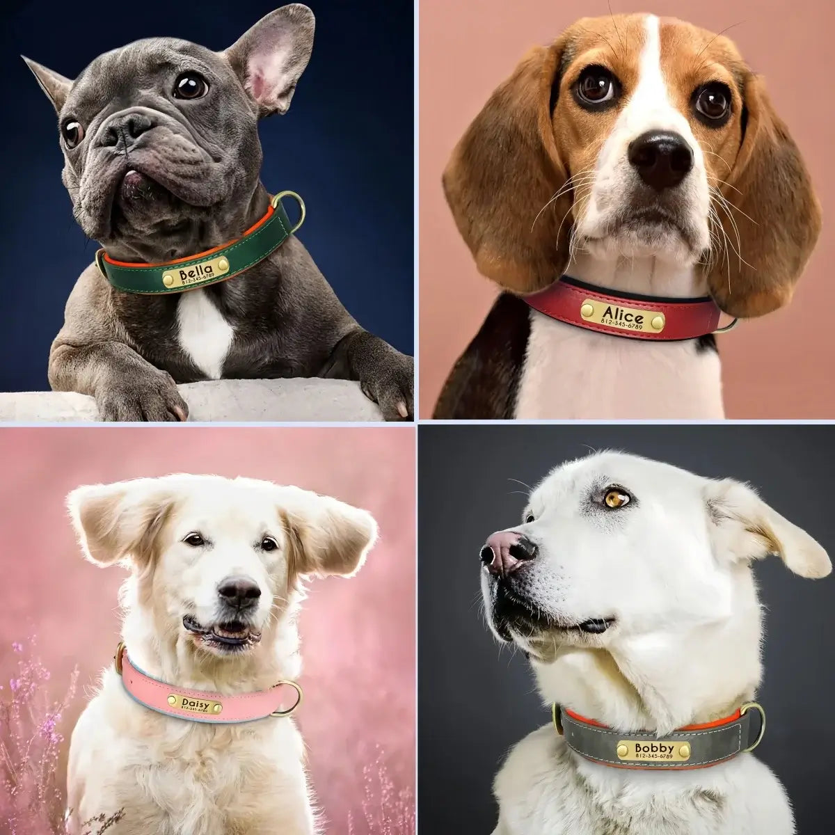 Customizable Padded Pet Collar