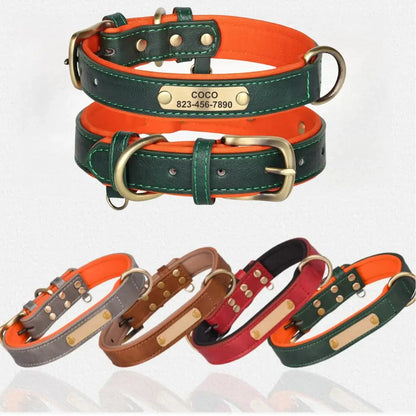 Customizable Padded Pet Collar