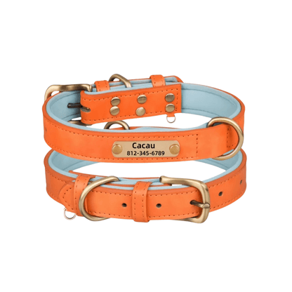 Customizable Padded Pet Collar