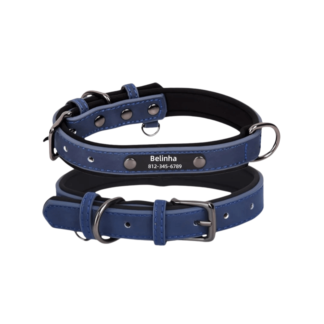 Customizable Padded Pet Collar