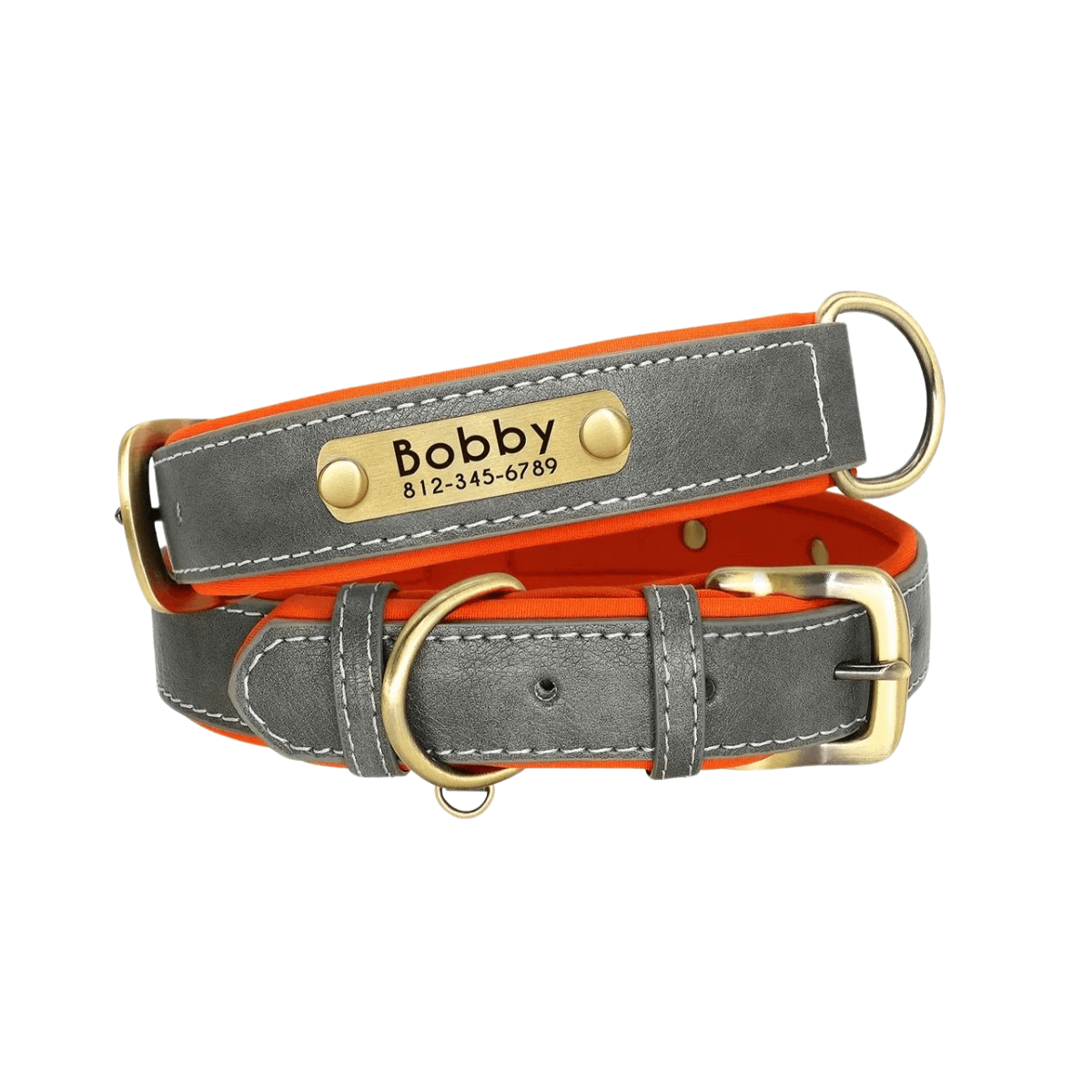 Customizable Padded Pet Collar