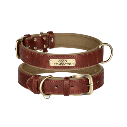 Customizable Padded Pet Collar