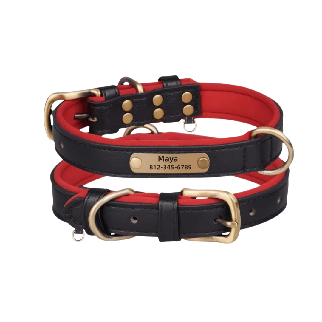 Customizable Padded Pet Collar