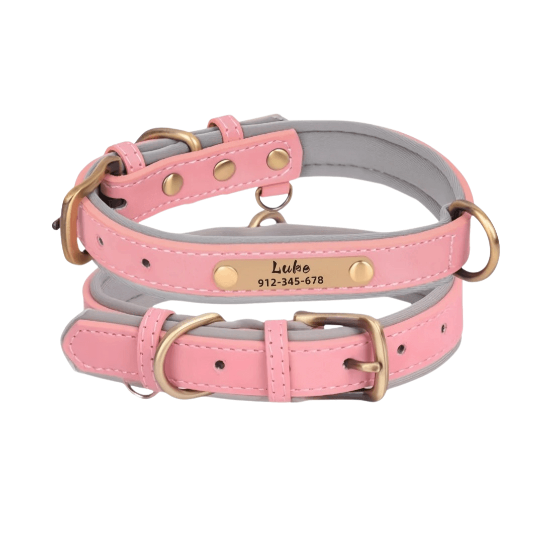 Customizable Padded Pet Collar