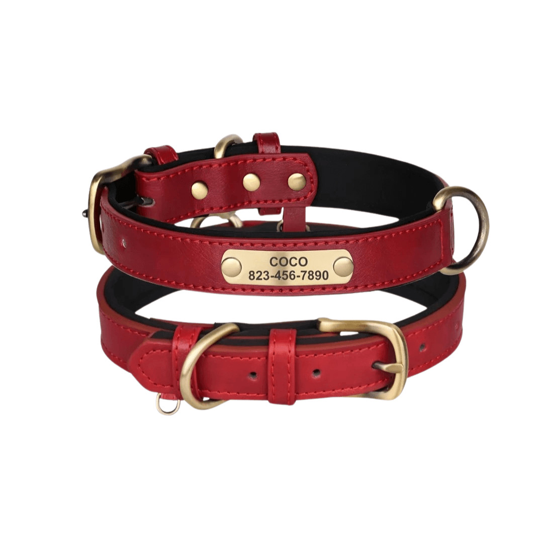 Customizable Padded Pet Collar