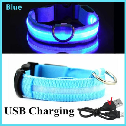 eco-friendly LED Glowing Dog Collar