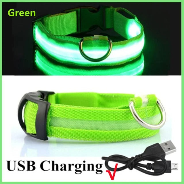 eco-friendly LED Glowing Dog Collar