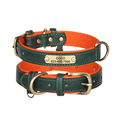 Customizable Padded Pet Collar