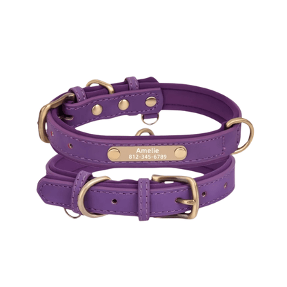 Customizable Padded Pet Collar